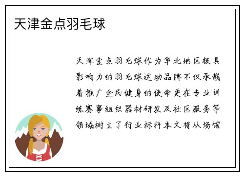 天津金点羽毛球