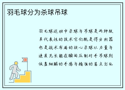 羽毛球分为杀球吊球