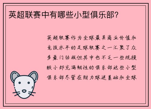 英超联赛中有哪些小型俱乐部？